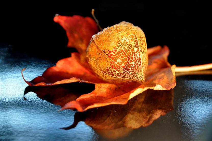 Quelle: pixabay kostenlos